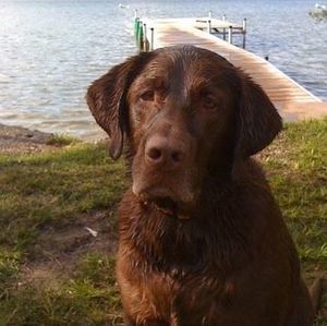 Meet your Posher, Tony